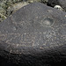 Three Rivers Petroglyphs (5999)