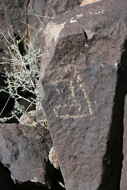 Three Rivers Petroglyphs (6000)