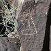 Three Rivers Petroglyphs (6000)