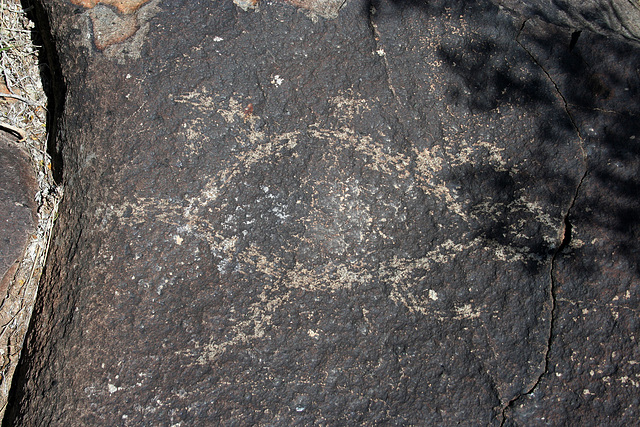 Three Rivers Petroglyphs (6001)