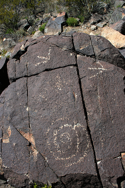 Three Rivers Petroglyphs (6004)