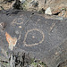 Three Rivers Petroglyphs (6005)