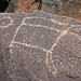 Three Rivers Petroglyphs (6006)