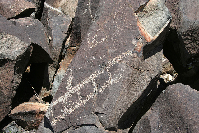 Three Rivers Petroglyphs (6007)