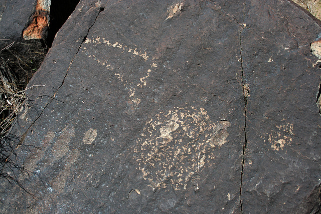 Three Rivers Petroglyphs (6009)