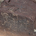 Three Rivers Petroglyphs (6014)