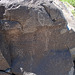 Three Rivers Petroglyphs (6015)