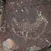 Three Rivers Petroglyphs (6017)