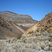 Trail Canyon (4496)