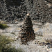 Trail Canyon Christmas Tree Cairn (4478)