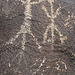 Three Rivers Petroglyphs (6030)