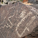 Three Rivers Petroglyphs (6031)