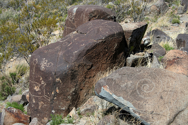 Three Rivers Petroglyphs (6033)