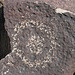 Three Rivers Petroglyphs (6034)