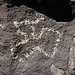 Three Rivers Petroglyphs (6036)