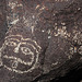 Three Rivers Petroglyphs (6038)