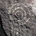 Three Rivers Petroglyphs (6041)