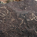 Three Rivers Petroglyphs (6046)