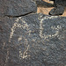 Three Rivers Petroglyphs (6051)