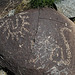 Three Rivers Petroglyphs (6058)
