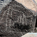 Three Rivers Petroglyphs (6059)