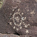 Three Rivers Petroglyphs (6060)