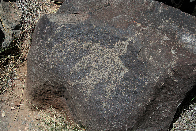 Three Rivers Petroglyphs (6064)