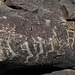 Three Rivers Petroglyphs (6066)