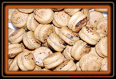 macaron 6(Choco'croc 2010)