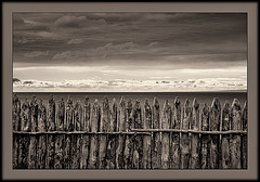 fenced horizon