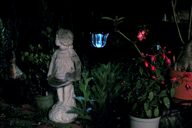 Garden at Night