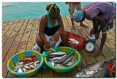 Fischverkäuferin