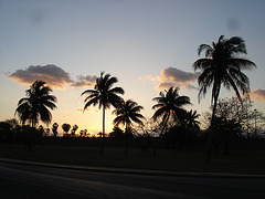 Varadero, CUBA.  Février 2010