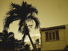 Varadero, CUBA.  Février 2010 - Sepia
