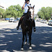 04.USPP.Horseback.NationalMall.WDC.3July2010
