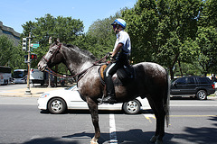 08.USPP.Horseback.NationalMall.WDC.3July2010