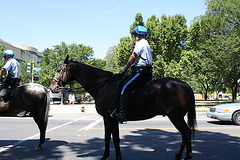 10.USPP.Horseback.NationalMall.WDC.3July2010
