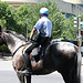 17.USPP.Horseback.NationalMall.WDC.3July2010