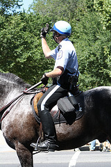 20.USPP.Horseback.NationalMall.WDC.3July2010