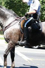 24.USPP.Horseback.NationalMall.WDC.3July2010