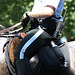 26.USPP.Horseback.NationalMall.WDC.3July2010