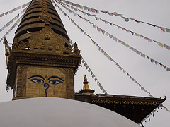 Wiesent: Der Nepal-Himalaya Pavillon