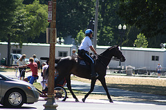 42.USPP.Horseback.NationalMall.WDC.3July2010