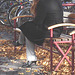 Jolie rouquine Sony en talons hauts / Sony infinity perfekt readhead Lady in high heels shoes  - Ängelholm / Suède - Sweden.  23-10-2008 - Version éclaircie.
