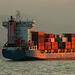 P1030417 Containerschiff