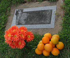 William H. Shepardson (7254)
