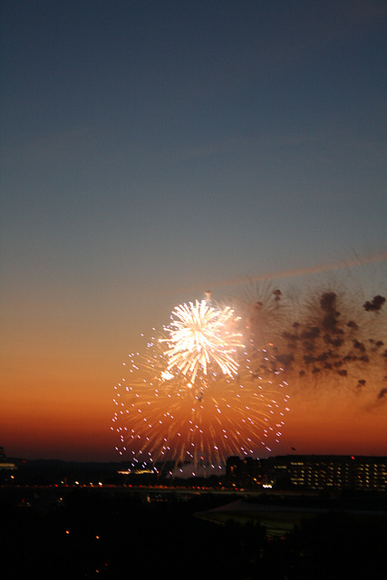 48.Fireworks.DinnerParty.TiberIsland.SW.WDC.4July2010