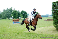 Équitation 3 renommée "cheval volant "