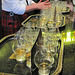 Whisky Distillery Glenfiddich