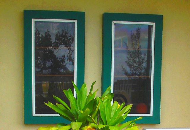 Fenêtres lézardées /  Twin windows and small lizard - Varadero, CUBA.  Février 2010